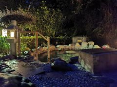 -明月山天沐温泉度假村