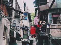 -桂萍特色牛筋牛杂(长堤街总店)