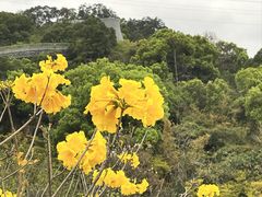 -福道