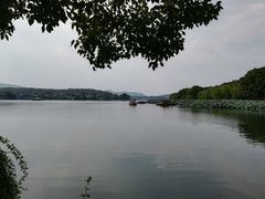 -西湖外事游船(花港观鱼码头)