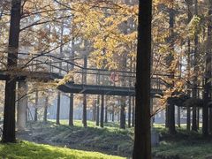 -黄海国家森林公园