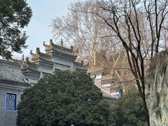 -习家池