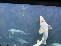 -梦幻海洋王国(吾悦广场张家港店)