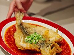 -圆苑(静安寺店)