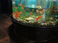 -王家渡火锅店(亦庄店)