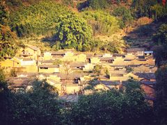 -杨家堂村