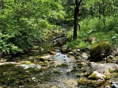 -玉渡山自然风景区