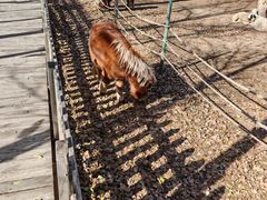 -鄂尔多斯野生动物园