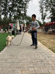 -上美四季动物农场