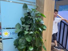 -I-Shine英语国际教育(大三林中心)