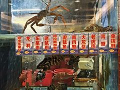 -山泉公馆酒家(珠江新城店)