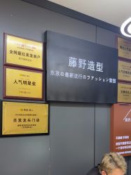 点击看大图 -藤野造型