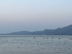 -小桂湾