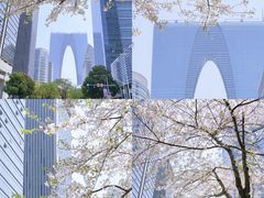 -苏州上方山国家森林公园