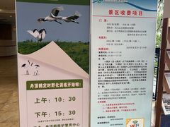 -盐城丹顶鹤湿地生态旅游区