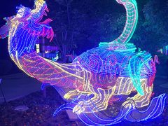 -南宫五洲植物乐园