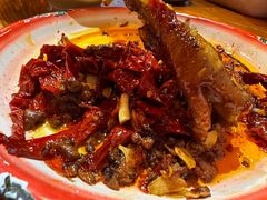 -柴窝堡22号辣子鸡·传承新疆菜