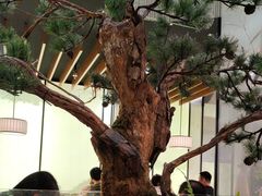 -绿茶餐厅(南翔印象城MEGA店)