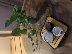 -成都蓝城悦杏温泉美食酒店(宽窄巷子店)