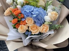 -上海德星奔驰(江杨南路店)