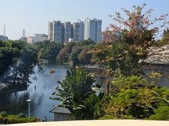 -荔湾湖公园