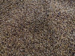 -孩子王童乐园(上海青浦吾悦广场店)