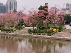 -明谷行馆·温泉