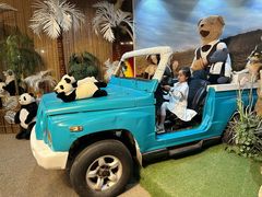 -济州岛泰迪熊博物馆