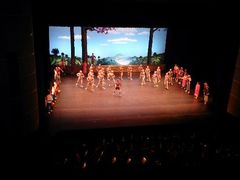 android_upload_pic-天桥杂技剧场