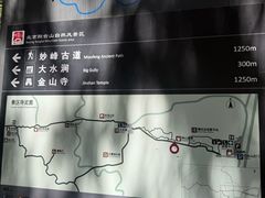 -阳台山自然风景区