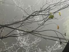 -藏龙百瀑风景区