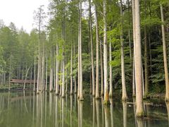 -波尔登森林公园