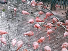 -东部华侨城