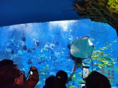 -横店影视城梦幻谷园区