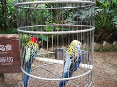 -南宫五洲植物乐园