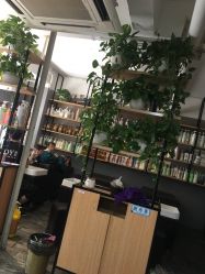 -青禾造型&刺青