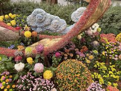 -杭州植物园