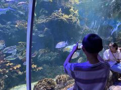 -华夏文旅海洋公园