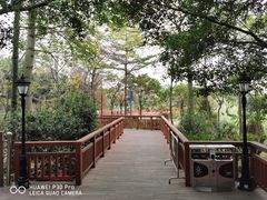 -广东花都湖国家湿地公园