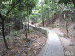-火炉山森林公园