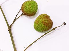 -PAGODA百果园(深圳天琴阁店)