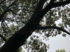 -石燕湖生态旅游景区