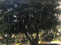 -星湖商业城