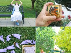 -昆明冠生园·蛋糕·面包(南强街店)