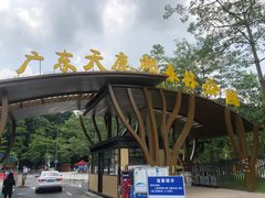 -天鹿湖森林公园
