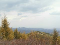 -苏木山森林公园