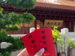 -深圳仙湖植物园