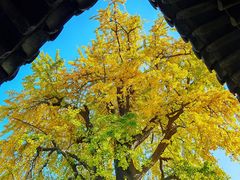 -常熟方塔园