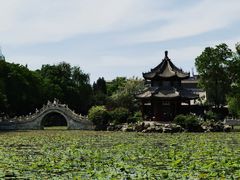 -莲池书院博物馆