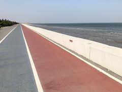-日照海滨国家森林公园